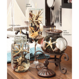 Seashell Candle Collection